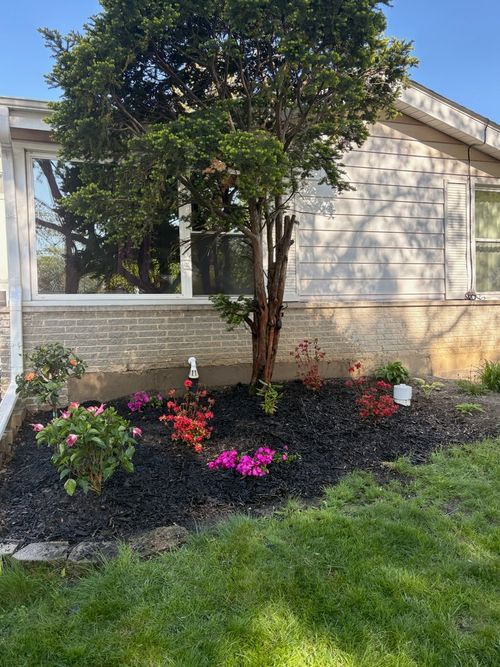 apt-b-381 N 4th Ave, Des Plaines, IL, 60016-7567 | Card Image