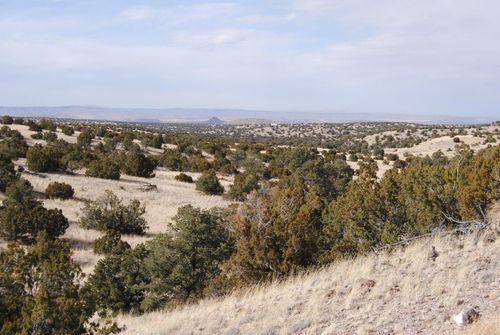 57 Pinon Springs Rd, Magdalena, NM, 87825 | Card Image