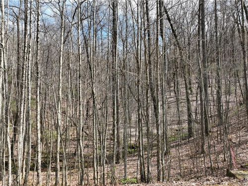 64 Saint Andrews Way, Ellijay, GA, 30536 | Card Image
