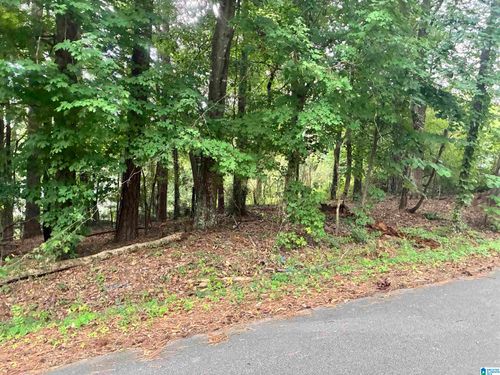 27-316 Warrior River Highland Rd, Adger, AL, 35006-2533 | Card Image
