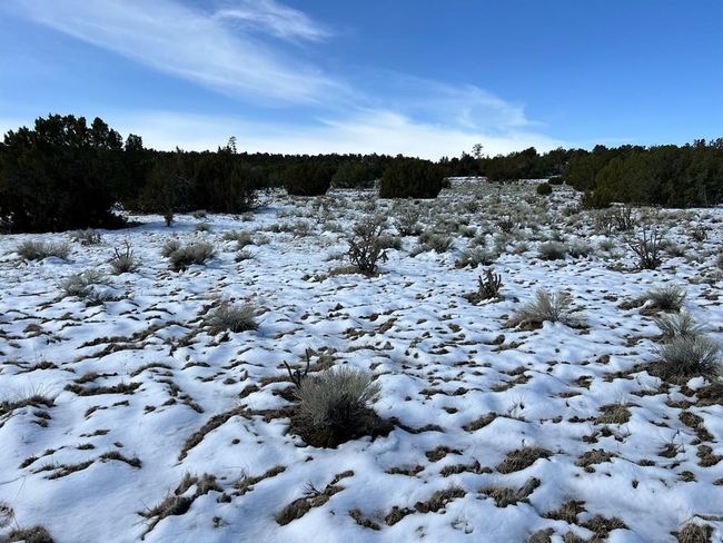 28 Turkey Ridge Rd, Home with 0 bedrooms, 0 bathrooms and null parking in Walsenburg CO | Image 37