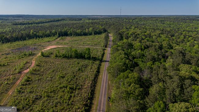 949 Marion Ripley Rd, Home with 0 bedrooms, 0 bathrooms and null parking in Dry Branch GA | Image 17