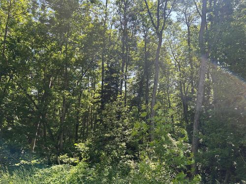 TBD Town Road 7, Northome, MN, 56661 | Card Image