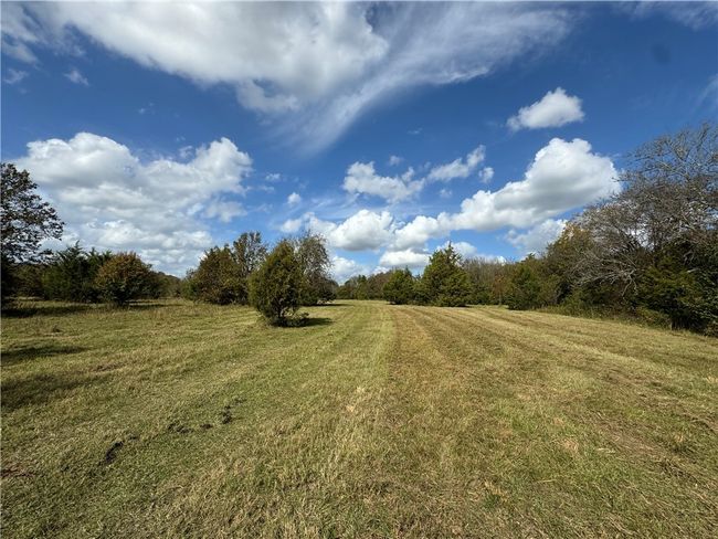 1 Seneca Street Ext, Home with 0 bedrooms, 0 bathrooms and null parking in Calhoun Falls SC | Image 12