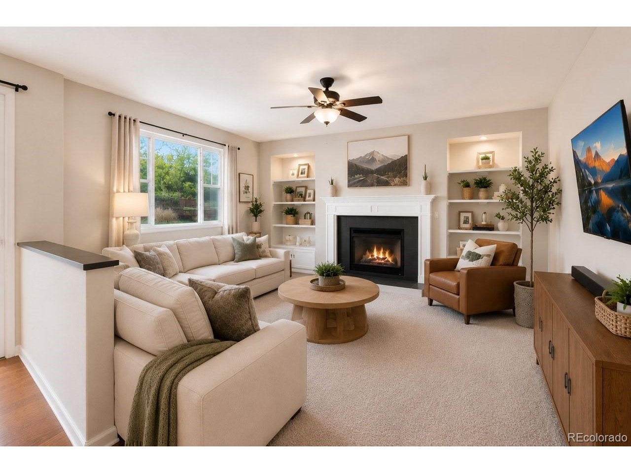 Residential in Castle Rock 4