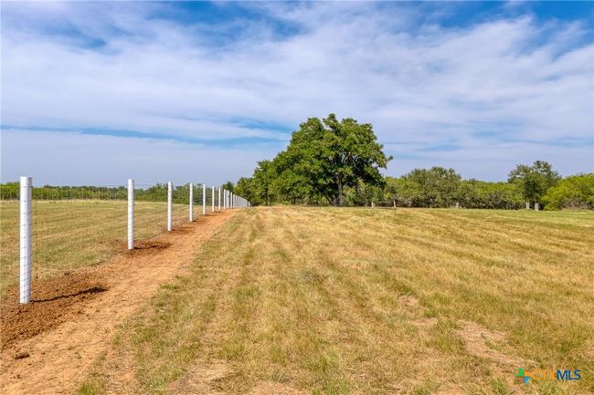 Fully fenced. Game fence with Cedar Posts. | Image 8