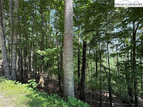 115 Hollow Tree Rd, Beech Mountain, NC, 28604-8101 | Card Image