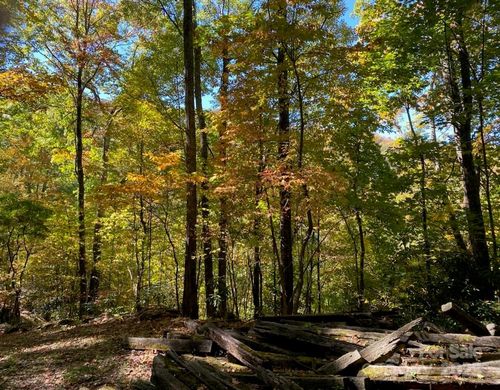 Lot A38 Tawodi Trl, Maggie Valley, NC, 28751 | Card Image