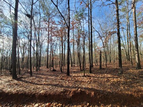 BLK 34 LOT 6 Juniper Way, Waverly Hall, GA, 31831-4431 | Card Image