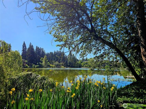 b-302-1126 N 198th, Shoreline, WA, 98133 | Card Image