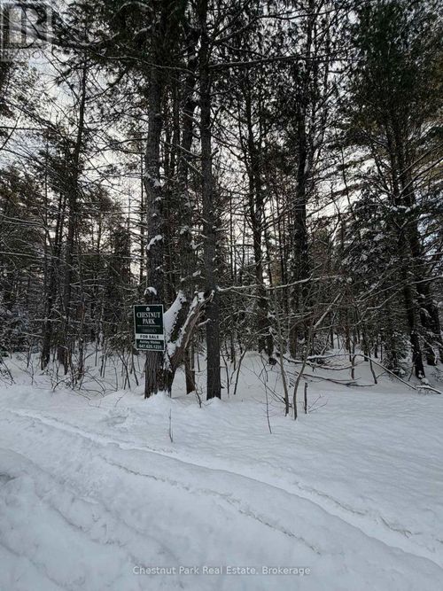 1839 Bear Cave Road, Muskoka Lakes (Cardwell), ON, P0B1G0 | Card Image