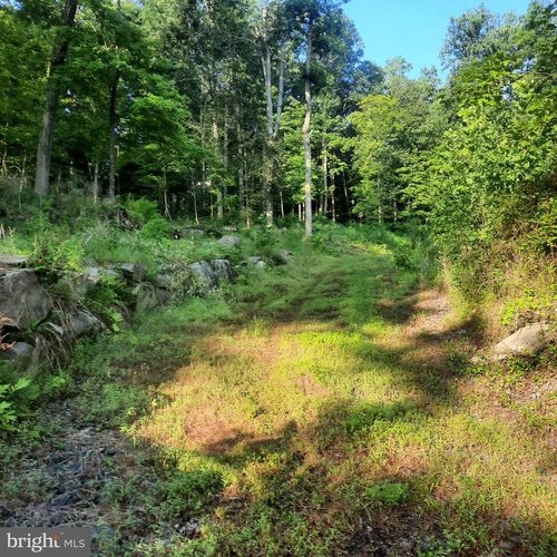 5968 State Park Road, PIPERSVILLE, PA, 18947 | Card Image