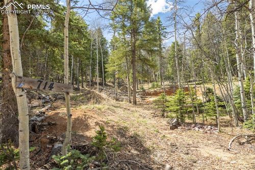 714 Will Stutley Dr, Divide, CO, 80814-9207 | Card Image