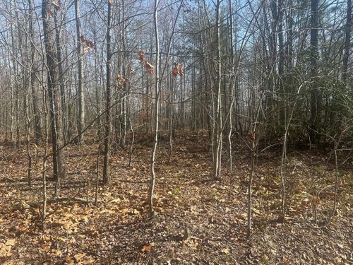 10 ac Old Beaty Pvt Road, Strunk, KY, 42649 | Card Image