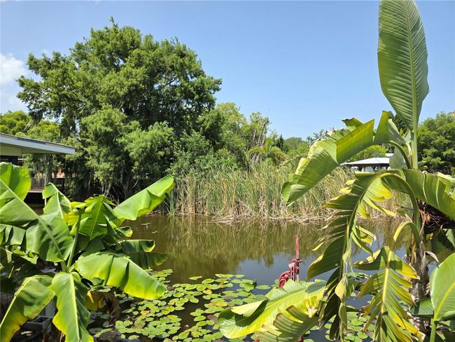 Canal | Image 42