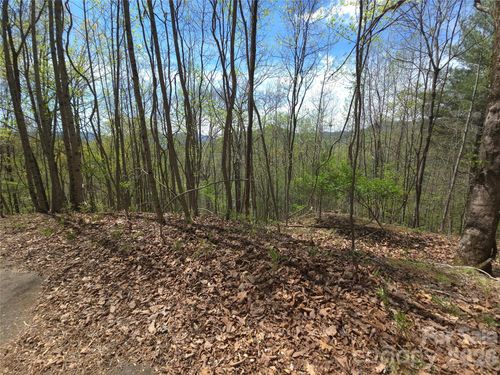 3233-0 Winding Way Drive, Franklin, NC, 28734 | Card Image