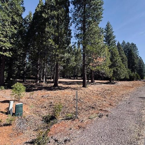 806 Red River Dr, Lake Almanor, CA, 96137-9663 | Card Image