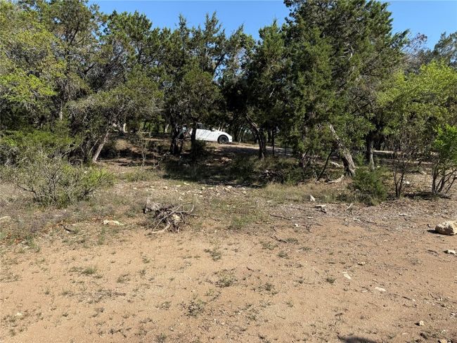 View of local wilderness | Image 13
