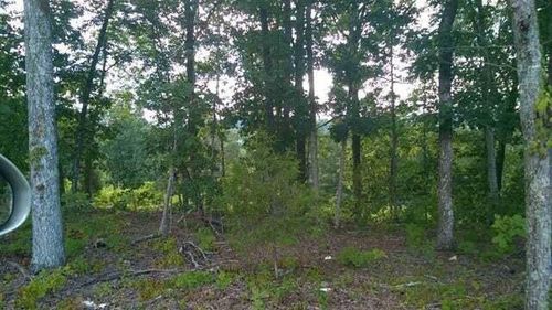 104105 Peach Orchard Hill Rd Ne, Cleveland, TN, 37323 | Card Image