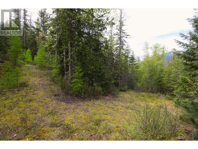 434 Lexington Ave, Home with 0 bedrooms, 0 bathrooms and null parking in Procter BC | Image 15