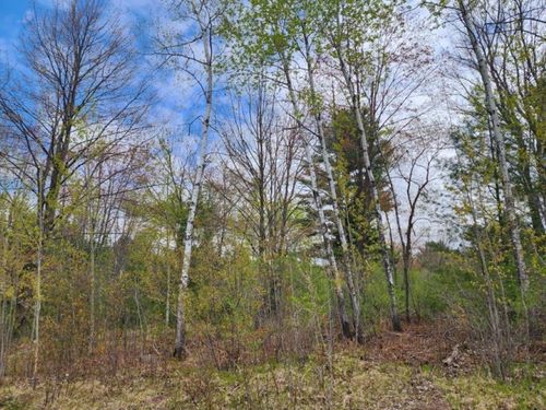 hilltop-avenue-.34 Acres N 36th Avenue, STETTIN, WI, 54401 | Card Image