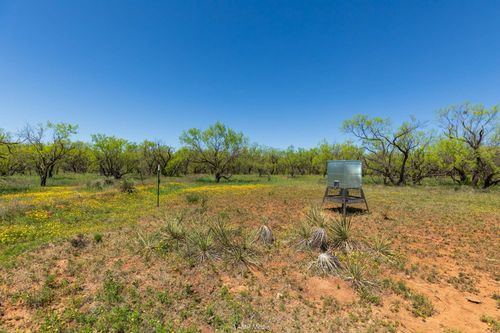 TBD County Road 121, Sweetwater, TX, 79556 | Card Image