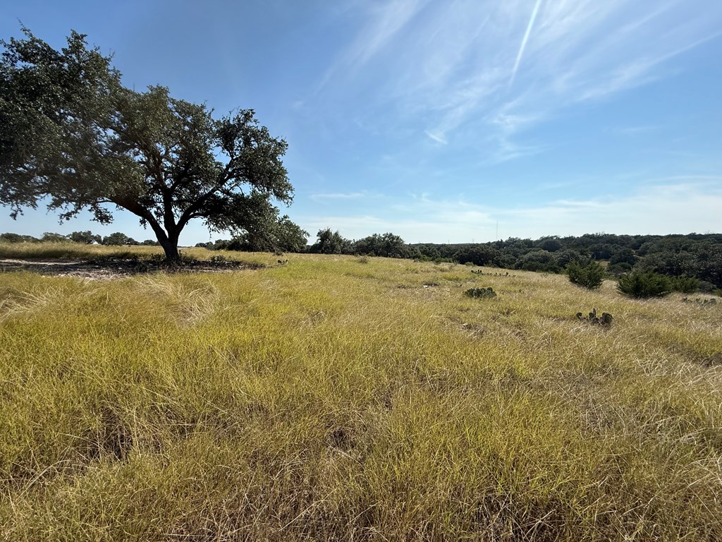 Land in Kerrville 5