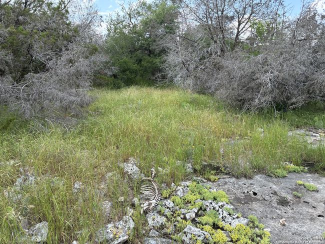 203 Bluff View Dr, Home with 0 bedrooms, 0 bathrooms and null parking in Spring Branch TX | Image 4