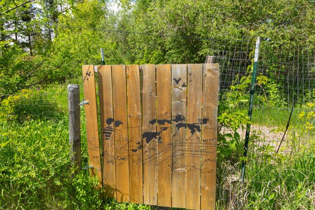 Garden gate | Image 38