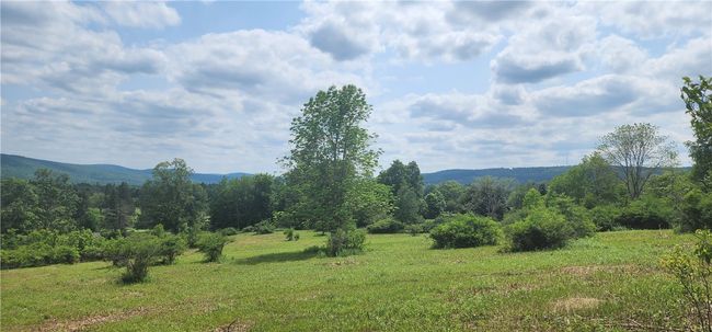 lot 30 Algerine Street, Home with 0 bedrooms, 0 bathrooms and null parking in Afton NY | Image 9