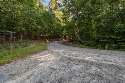 366 Mossy Creek Lane, Home with 0 bedrooms, 0 bathrooms and null parking in Clarkesville GA | Image 3