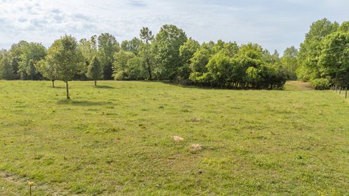 175 Chickasaw Cv, Waynesboro, TN, 38485 | Card Image