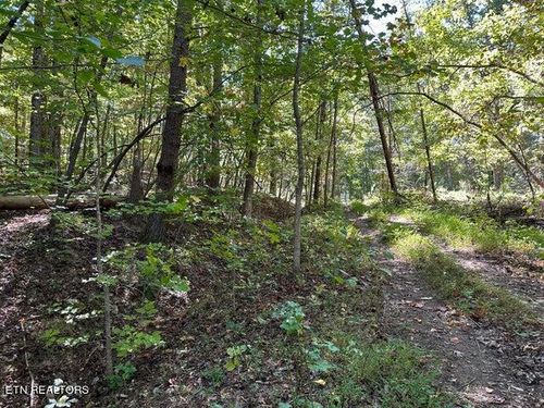 412 Smith Rd, Spring City, TN, 37381 | Card Image
