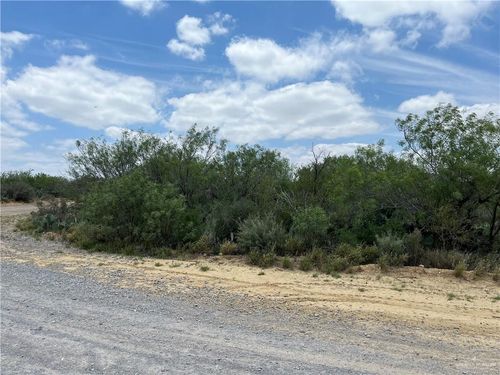 319 Pelican Street, Zapata, TX, 78076 | Card Image