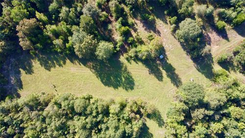 TBD Cr 1579-2, Avinger, TX, 75630 | Card Image