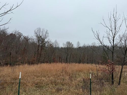 699 Wolf Rd, Olive Hill, KY, 41164-7871 | Card Image