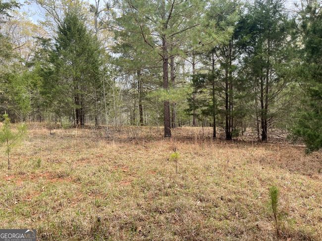 0 Green Oak Cir, Home with 0 bedrooms, 0 bathrooms and null parking in Thomaston GA | Image 39