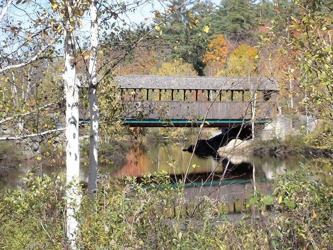 118 - 118 Pauls Place, Home with 0 bedrooms, 0 bathrooms and null parking in Enfield NH | Image 12