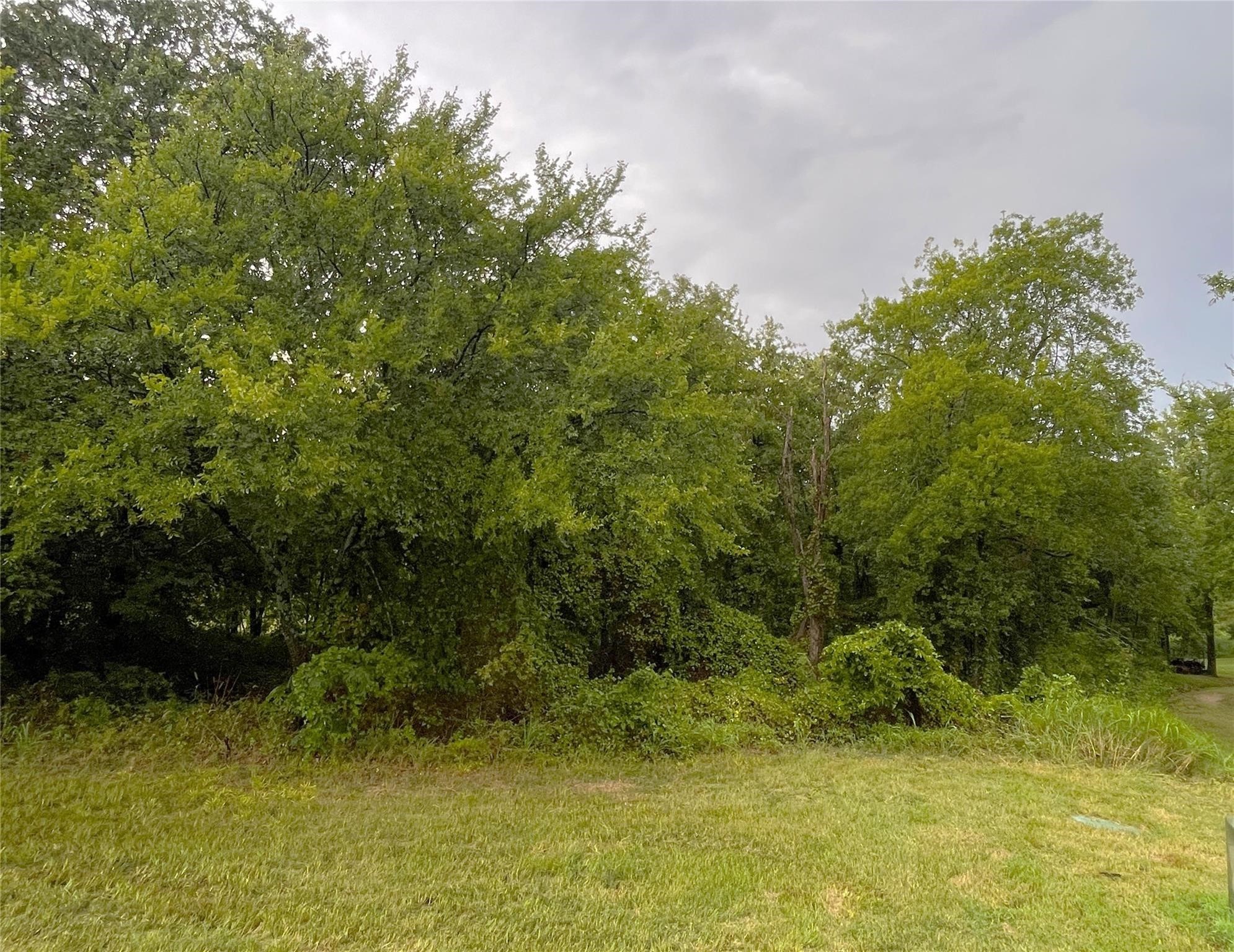 Land in Gordonville 2