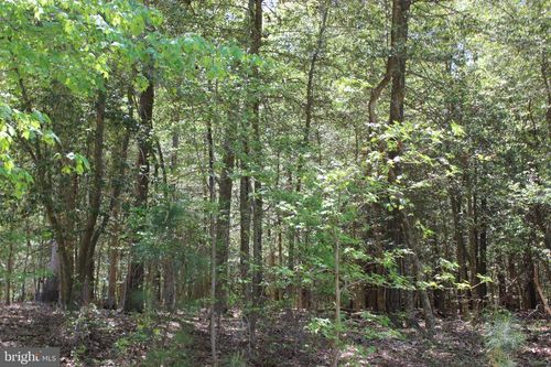 1780 Yeoman Ct, GREENBACKVILLE, VA, 23356 | Card Image