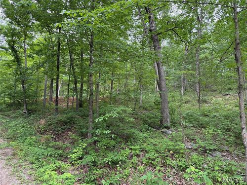 0 Mallard Rd, Middle Brook, MO, 63656 | Card Image