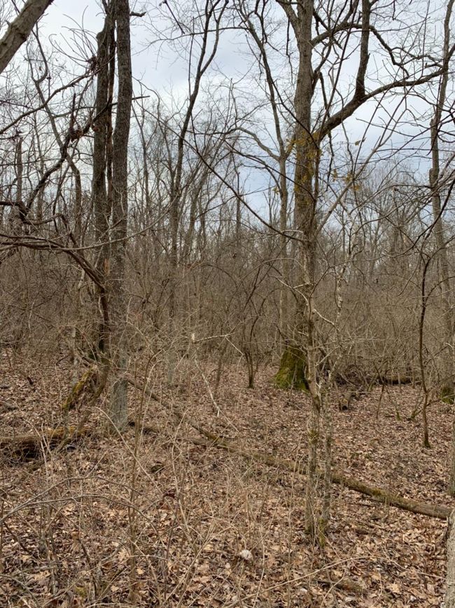 6049 Big Run Rd, Home with 0 bedrooms, 0 bathrooms and null parking in Georgetown OH | Image 42