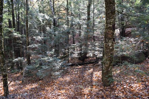 Lot 14 Hanover Drive, Haverhill, NH, 03765 | Card Image