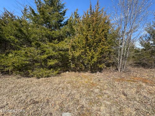 155 Wedge Way, Tazewell, TN, 37879-6179 | Card Image