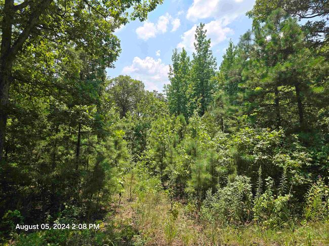 0 Floral Rd, Home with 0 bedrooms, 0 bathrooms and null parking in Concord AR | Image 4