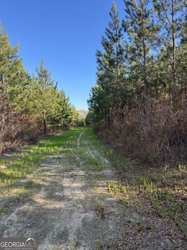 0 Hightower Rd, Home with 0 bedrooms, 0 bathrooms and null parking in Blakely GA | Image 11