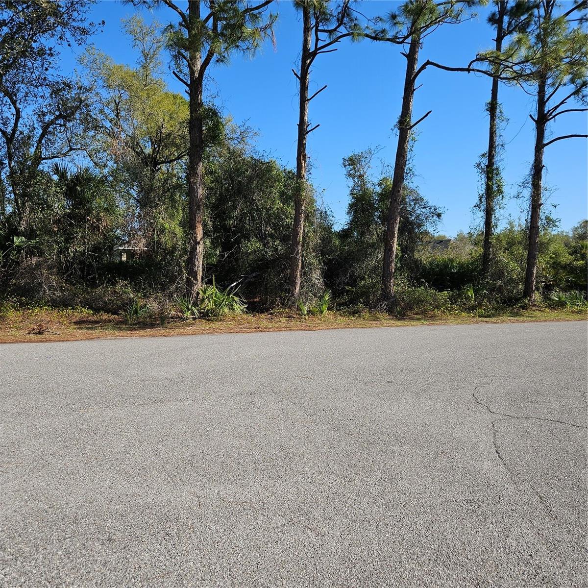 Land in NORTH PORT
