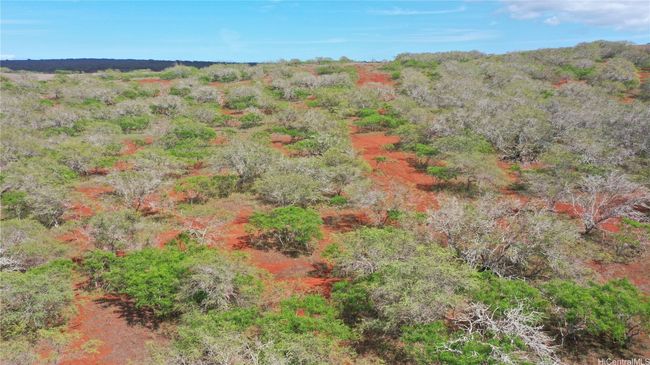 LOT-38 - 000 Kalua Koi Rd, Home with 0 bedrooms, 0 bathrooms and null parking in Maunaloa HI | Image 14