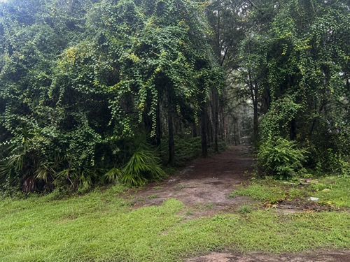 TBD Nw 167th Pl, Trenton, FL, 32693 | Card Image