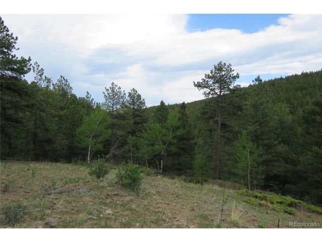 0 Come And See Mine, Home with 0 bedrooms, 0 bathrooms and null parking in Central City CO | Image 5